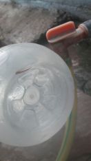 Alert: This water does you sick