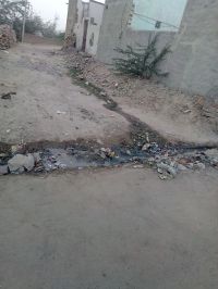 Disaster of the colony