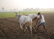 devipatan mandal ayukta instructed to officers
