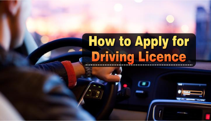 Online Driving Licence 