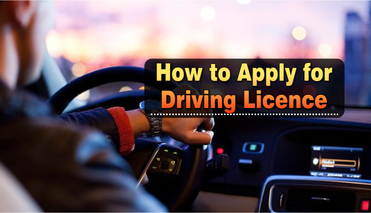 Online Driving Licence