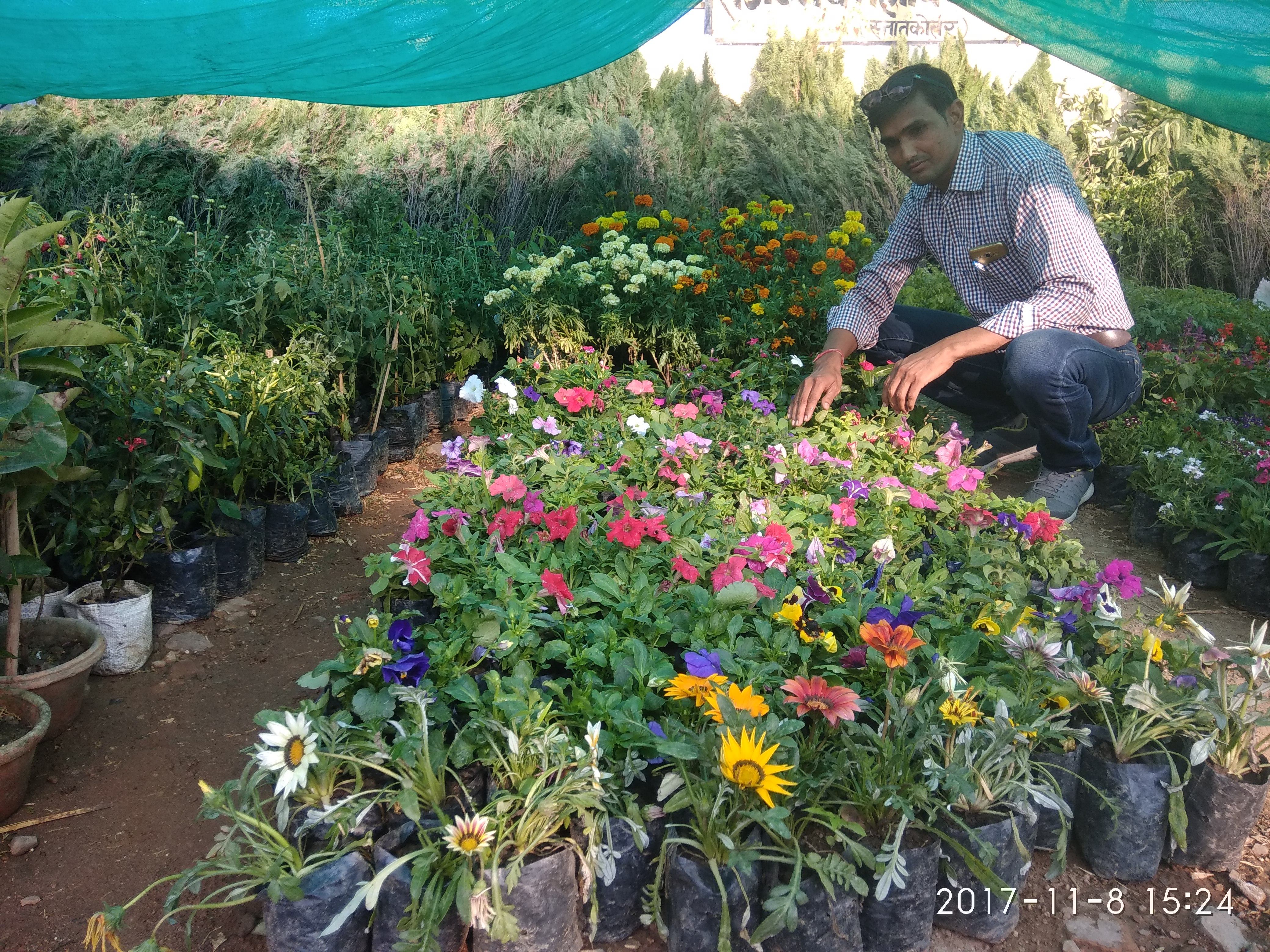 Winter season: Gardens decor will grow