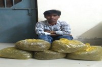 Berla Janpad member used to smuggle ganja
