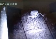 police Busted train robbers gang after incident capture in CCTV