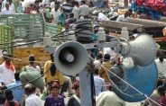noise pollution