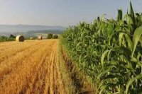 Good news for educated unemployed