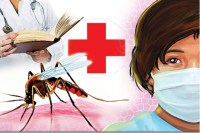 Death ratio from Dengue in Rajasthan increase Malaria patients in Rajasthan