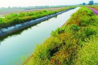 Irrigation projects in Bemetara