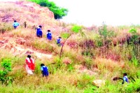 सफाई के लिए नहीं मिला बजट तो स्कूली बच्चों को झाडू़ तोडऩे पहाड़ पर चढ़ाया, पढि़ए खबर...