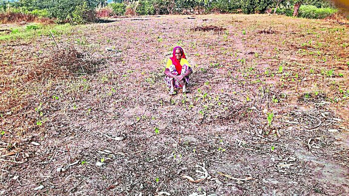 water shortage in ogana jhadol udaipur