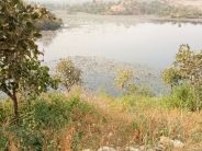 udaipur jogi talab fatehsagar lake udaipur
