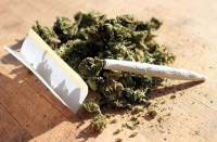 Intoxicating Substance sale in Satna Central Jail