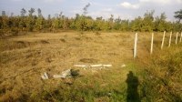 plantation