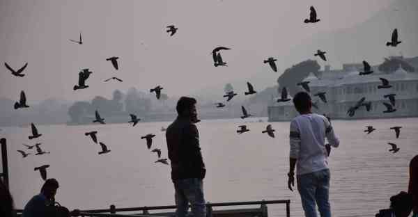 fog in udaipur