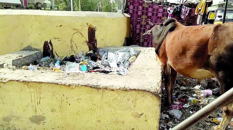 Smart City, Dirt and Rotten, Old kota, National Cleanliness Survey, Municipal Corporation, Action Plan, Guide Line, Ranking, Sanitation Campaign, Commissioner Dr. Vikram Jindal, Court, Prosecution, Fines, Central Government, Sanitary Ranking, Municipal Corporation, Central Government's Guide Line, Kota Cleanliness System, Kota, Kota Patrika, Kota Patrika News, Rajasthan Patrika