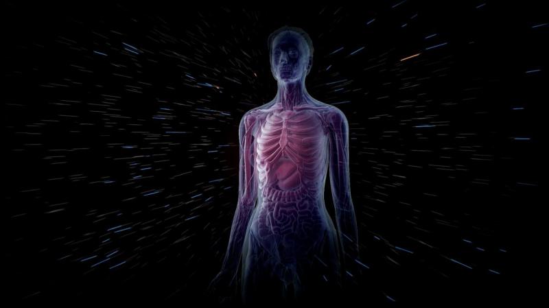 these-ayurvedic-medicines-reduce-the-effect-of-radiation-in-the-body