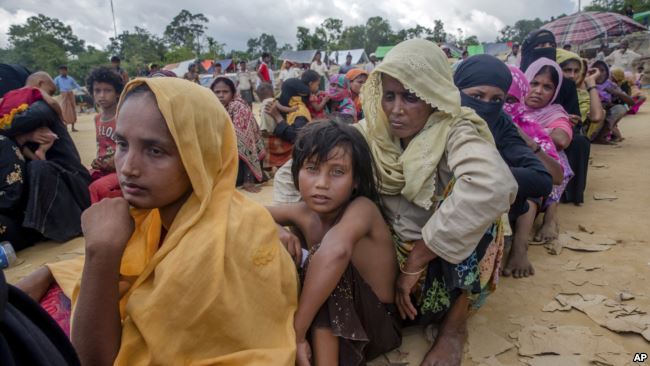 rohingya crisis
