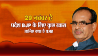 29 nov special for mp bjp