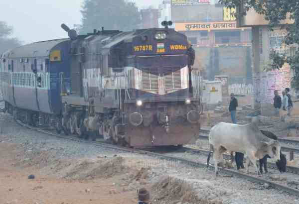 sikar sand train news