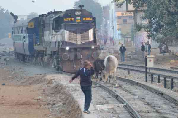 sikar sand train news