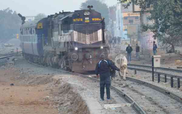 sikar sand train news