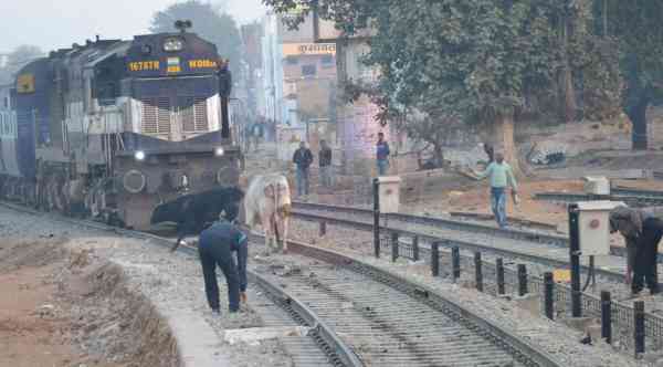 sikar sand train news