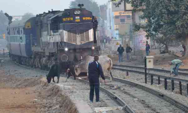 sikar sand train news