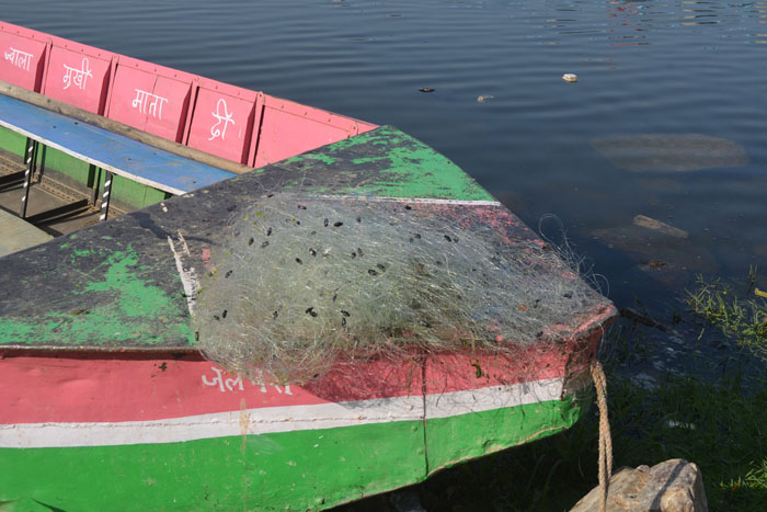 मछलियों का अवैध शिकार