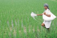 fertilizer and pesticide medicines