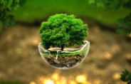 green earth