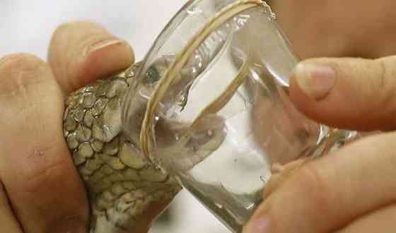 expensive liquid in the world