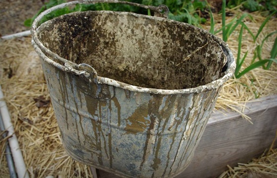 bug found inside in old bucket