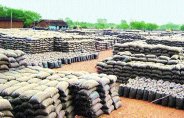 Hamals of Paddy procurement centers