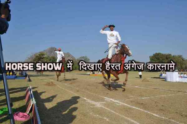 beautiful pics of horse show in mayo college ajmer