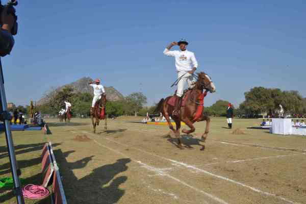 beautiful pics of horse show in mayo college ajmer