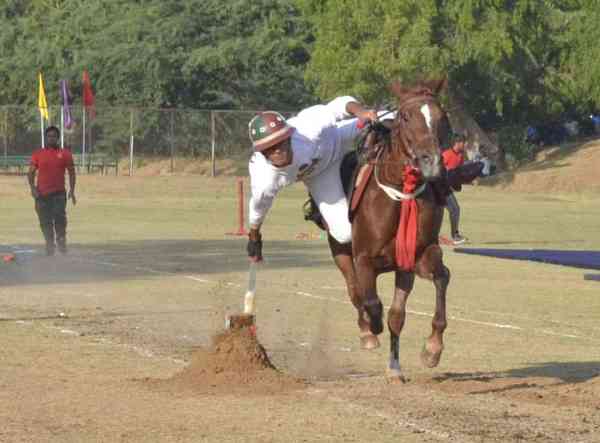 beautiful pics of horse show in mayo college ajmer
