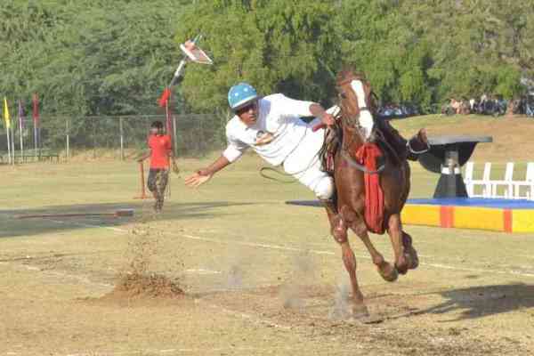 beautiful pics of horse show in mayo college ajmer