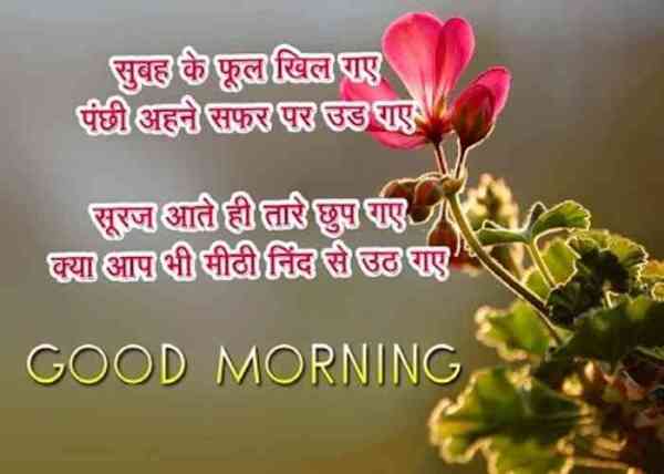good morning images for whatsapp, facebook, twitter, social media, good morning hd images, good morning hindi, good morning wishes, good morning love, good morning pictures for whatsapp, good morning flowers, good morning msg, good morning sunday, Good Morning Photos, Best Wallpapers, Good Morning Quotes, Good Morning Quotes Saying, Dgreetings, whatsapp facebook twitter के लिए ये हैं सबसे अच्छी good morning images