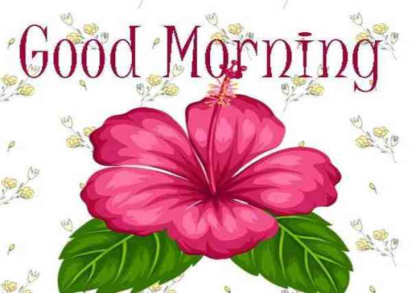 good morning images for whatsapp, facebook, twitter, social media, good morning hd images, good morning hindi, good morning wishes, good morning love, good morning pictures for whatsapp, good morning flowers, good morning msg, good morning sunday, Good Morning Photos, Best Wallpapers, Good Morning Quotes, Good Morning Quotes Saying, Dgreetings, whatsapp facebook twitter के लिए ये हैं सबसे अच्छी good morning images