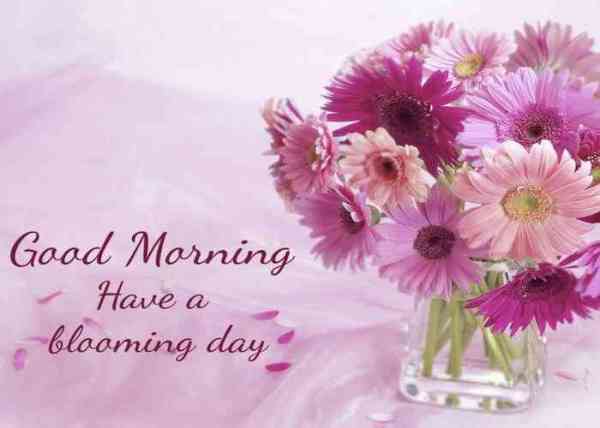 good morning images for whatsapp, facebook, twitter, social media, good morning hd images, good morning hindi, good morning wishes, good morning love, good morning pictures for whatsapp, good morning flowers, good morning msg, good morning sunday, Good Morning Photos, Best Wallpapers, Good Morning Quotes, Good Morning Quotes Saying, Dgreetings, whatsapp facebook twitter के लिए ये हैं सबसे अच्छी good morning images
