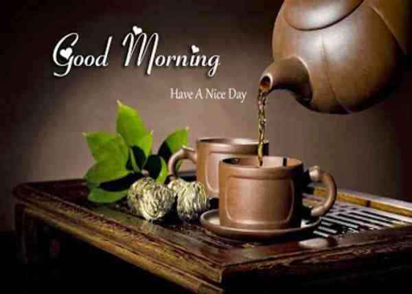 good morning images for whatsapp, facebook, twitter, social media, good morning hd images, good morning hindi, good morning wishes, good morning love, good morning pictures for whatsapp, good morning flowers, good morning msg, good morning sunday, Good Morning Photos, Best Wallpapers, Good Morning Quotes, Good Morning Quotes Saying, Dgreetings, whatsapp facebook twitter के लिए ये हैं सबसे अच्छी good morning images