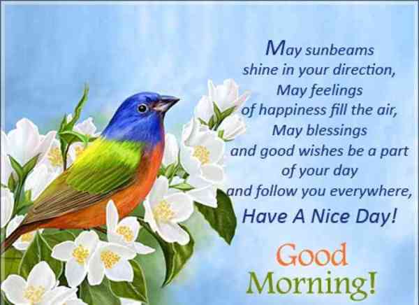 good morning images for whatsapp, facebook, twitter, social media, good morning hd images, good morning hindi, good morning wishes, good morning love, good morning pictures for whatsapp, good morning flowers, good morning msg, good morning sunday, Good Morning Photos, Best Wallpapers, Good Morning Quotes, Good Morning Quotes Saying, Dgreetings, whatsapp facebook twitter के लिए ये हैं सबसे अच्छी good morning images