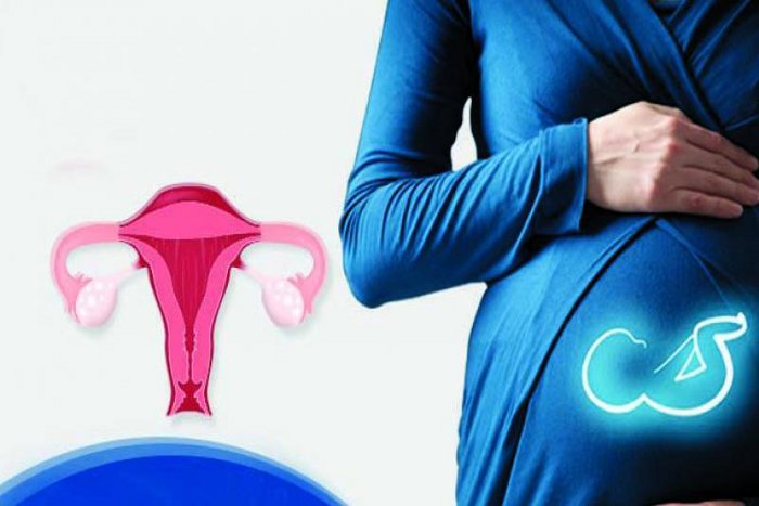 mother's uterus transplant his Daughter, Artificial Fecundation in India, Working Women are Growing in Craze of artificial fecundation, IVF In Rajasthan, Rajasthan Gynecologist Society, New Medical College Kota, Department of Women and Obstetrics New Medical College Kota, Rajasthan Patrika, Kota Patrika