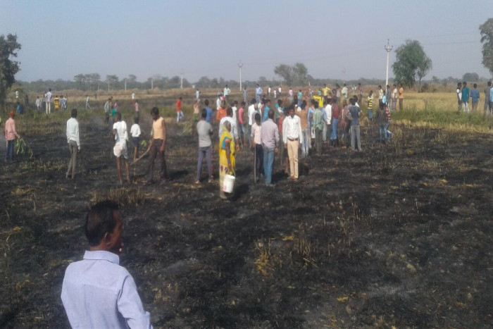 खेत में लगी फसल पर हाईवोल्टेज तार गिरने से लगी आग, लाखों का नुकसान