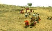 nagaur news