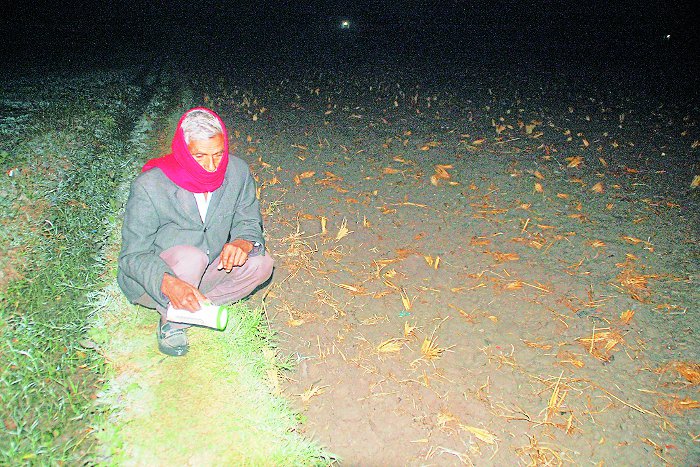 Annadata ke Anshu, Agricultural News Rajasthan, Indian Farmer, Problems of Indian Farmers, Farmers of Rajasthan, Electricity Problem for irrigation in Rajasthan, Kota Rajasthan Patrika, RPKota, Kota, Kota Patrika News