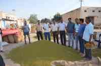 Purchase of urad not at support price, Annadata ke Anshu, Agricultural News Rajasthan, Problems of Rajasthan Farmers, Farmers of Rajasthan, Bhamashah Mandi Kota, Kota Rajasthan Patrika, RPKota, Kota, Kota Patrika News   