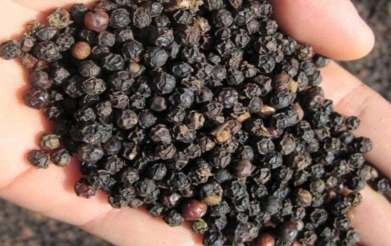 Flax seeds and black pepper