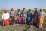 Annadata ke Anshu, Agricultural News Rajasthan, Indian Farmer, Problems of Indian Farmers, Farmers of Rajasthan, Electricity Problem for irrigation in Rajasthan, Kota Rajasthan Patrika, RPKota, Kota, Kota Patrika News   
