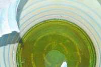 polluted water in tribal boys hostel